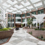 Biophilic Design: Bringing the Outside In
