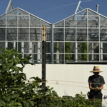 Denver urban farming trend grows from a Sloan’s Lake condo tower to a Larimer Square parking garage