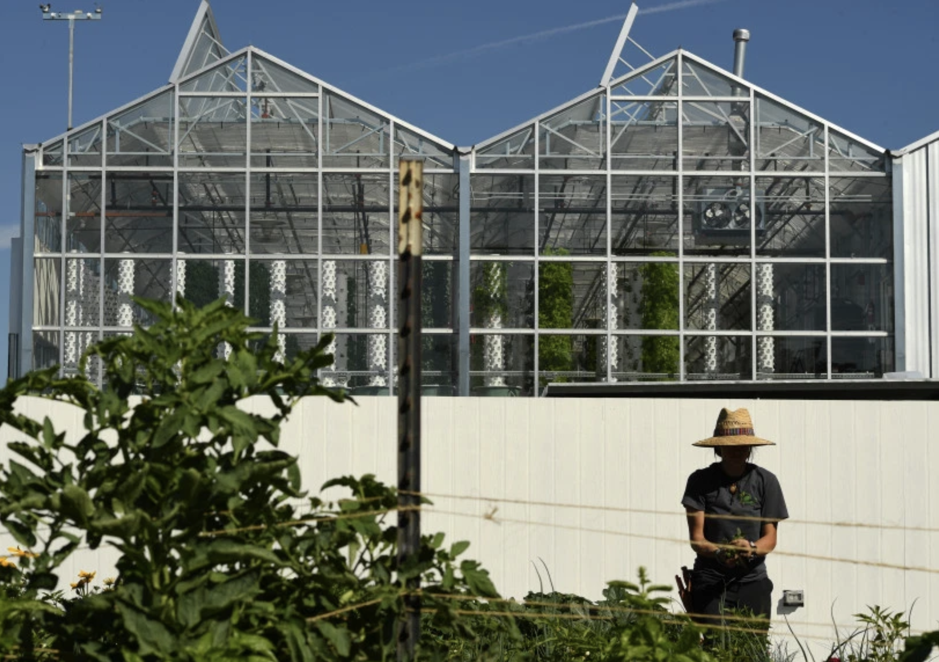 Denver urban farming trend grows from a Sloan’s Lake condo tower to a Larimer Square parking garage